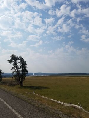 20170805_102442.jpg