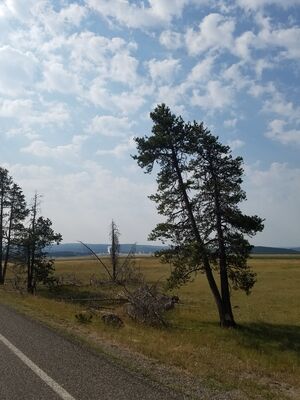 20170805_102443.jpg