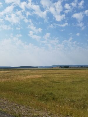 20170805_102449.jpg