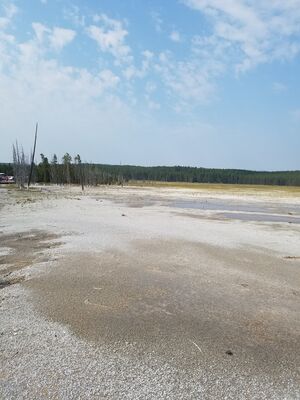 20170805_103617.jpg