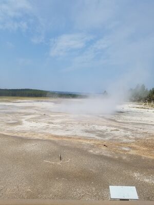 20170805_103642.jpg