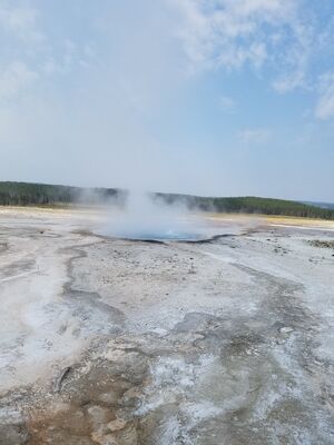 20170805_103704.jpg