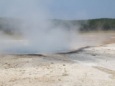 20170805_103715.jpg