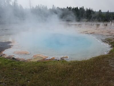 20170805_103951.jpg