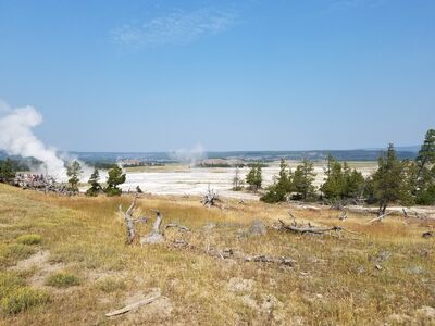 20170805_104714.jpg