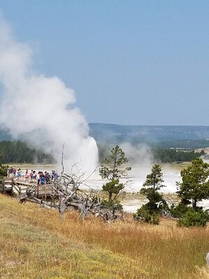20170805_104724.jpg