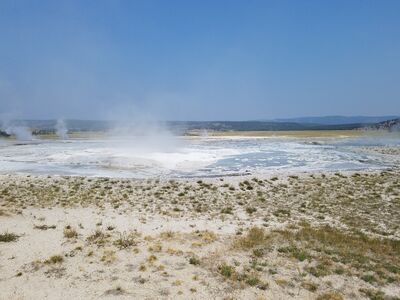 20170805_104924.jpg