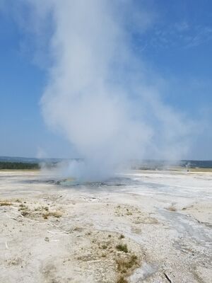 20170805_105026.jpg