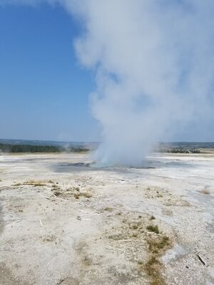20170805_105036.jpg