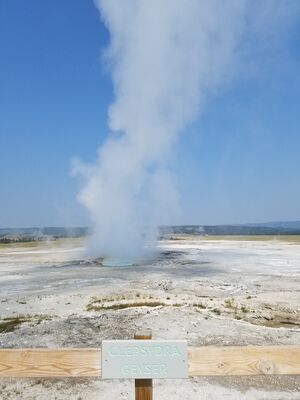 20170805_105117.jpg