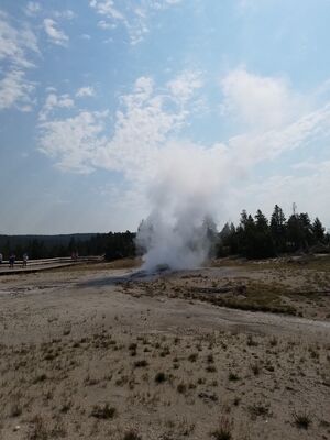 20170805_105225.jpg