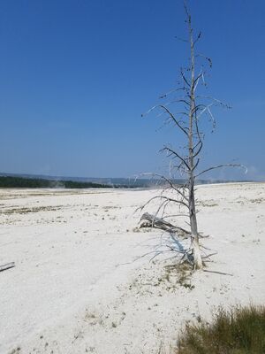 20170805_105425.jpg