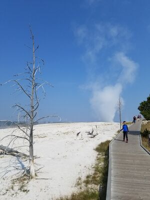 20170805_105431.jpg
