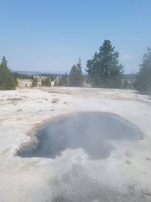 20170805_112157.jpg