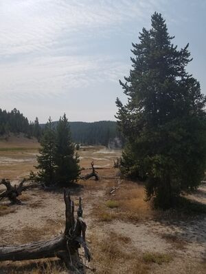 20170805_112304.jpg