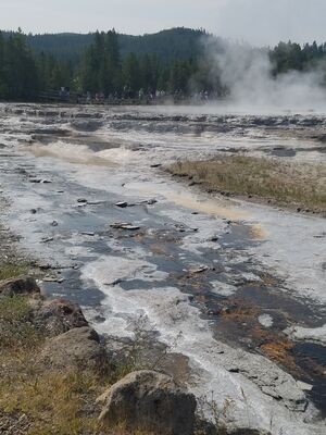 20170805_112831.jpg