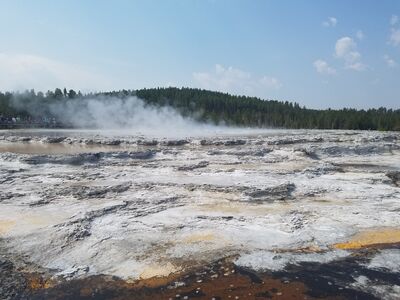 20170805_112903.jpg