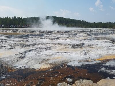 20170805_112925.jpg