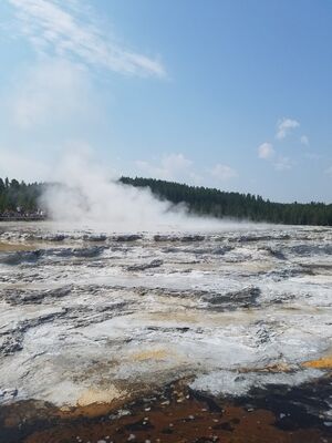 20170805_113104.jpg