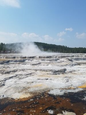 20170805_113701.jpg