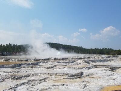 20170805_113727.jpg