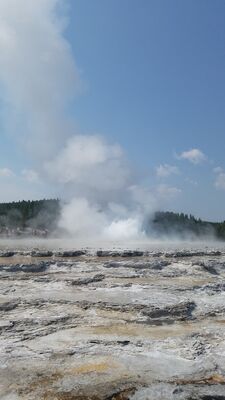 20170805_113816.jpg