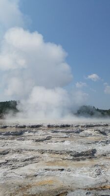 20170805_113821.jpg