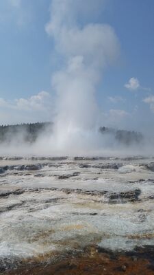 20170805_113929.jpg