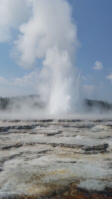 20170805_113950.jpg