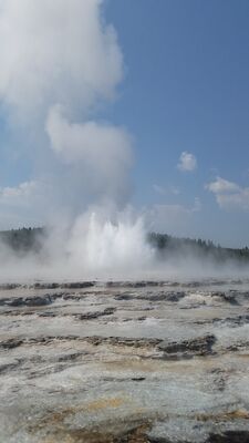 20170805_114007.jpg