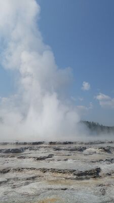 20170805_114012.jpg