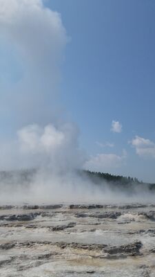 20170805_114027.jpg