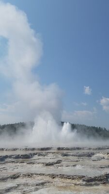 20170805_114042.jpg