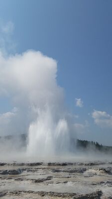 20170805_114053.jpg