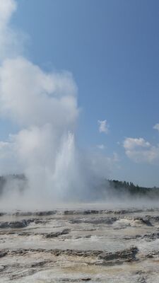20170805_114115.jpg