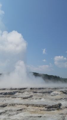 20170805_114143.jpg