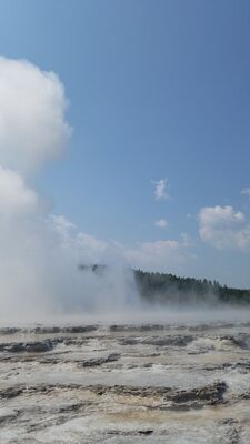 20170805_114147.jpg
