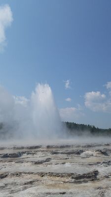 20170805_114158.jpg