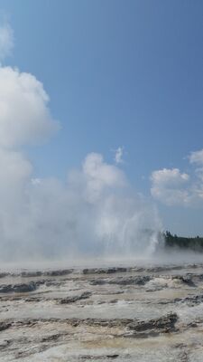 20170805_114203.jpg
