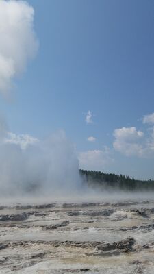 20170805_114213.jpg