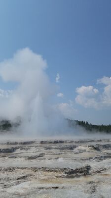 20170805_114231.jpg