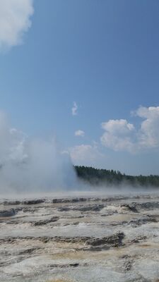 20170805_114243.jpg