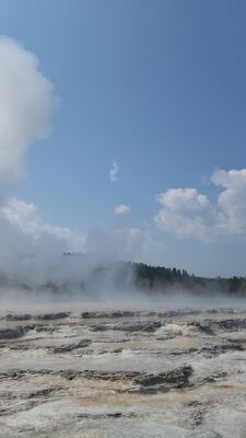 20170805_114252.jpg