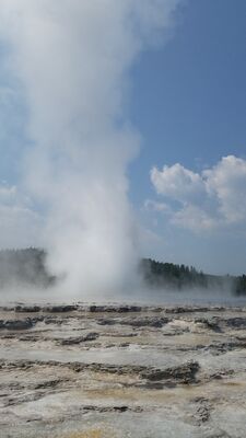 20170805_114436.jpg