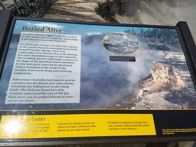 20170805_121609.jpg