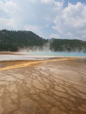 20170805_121928.jpg