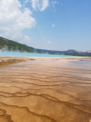 20170805_122006.jpg