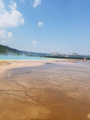 20170805_122155.jpg