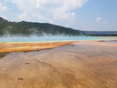 20170805_122235.jpg