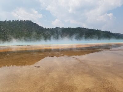 20170805_122244.jpg